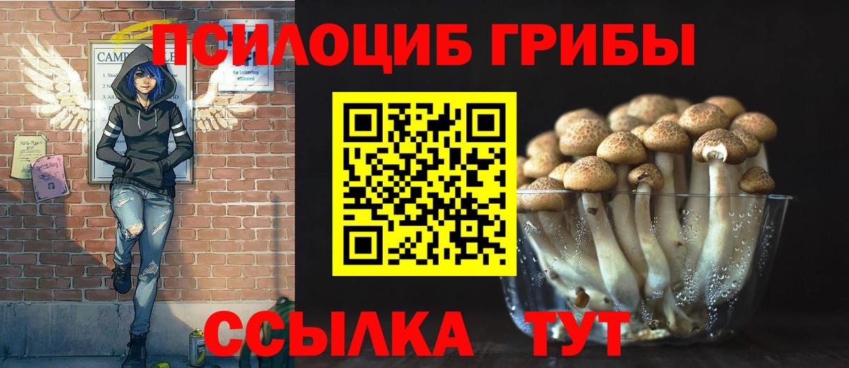 Галлюциногенные грибы MAGIC MUSHROOMS  Вход с VPN  Галлюциногенные грибы прущие грибы  Пыть-Ях 